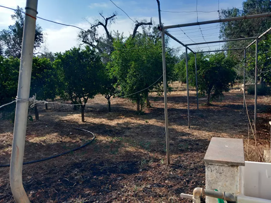 Immagine 24 di Villa in vendita  in C.da Mileto a Latiano
