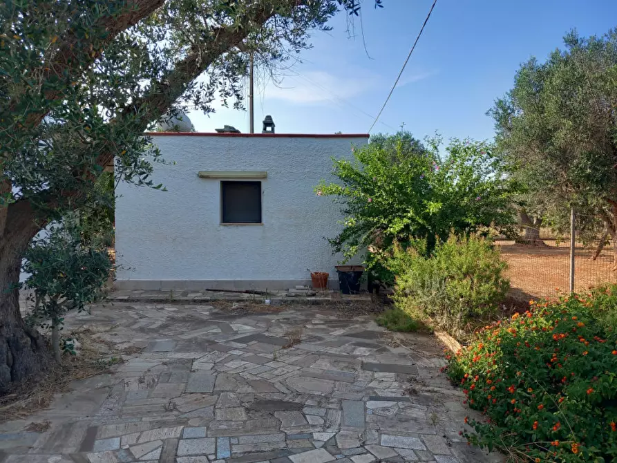 Immagine 30 di Villa in vendita  in C.da Mileto a Latiano