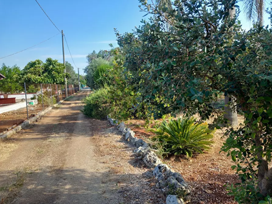 Immagine 32 di Villa in vendita  in C.da Mileto a Latiano