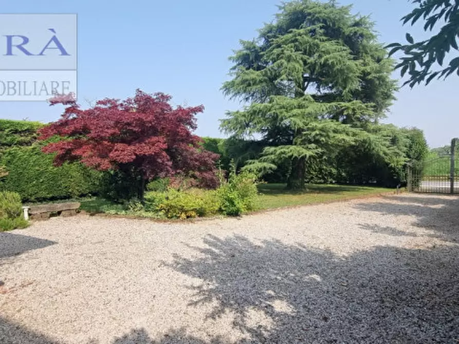 Immagine 9 di Casa bifamiliare in affitto  a Cervarese Santa Croce