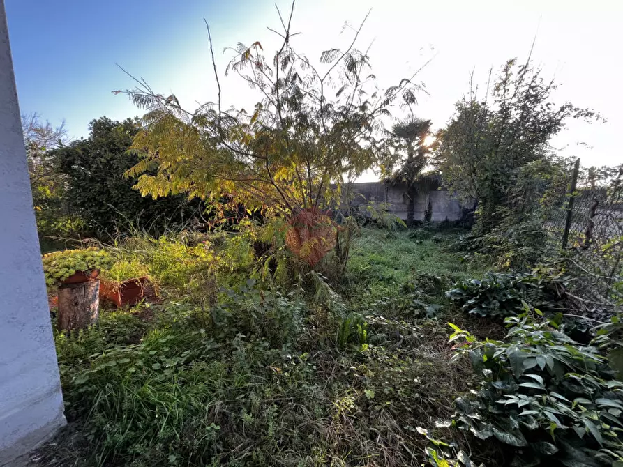 Immagine 5 di Magazzino in vendita  in Cascina Vecchia a Gorgonzola
