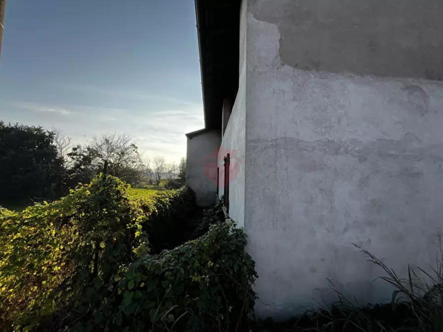 Immagine 11 di Magazzino in vendita  in Cascina Vecchia a Gorgonzola