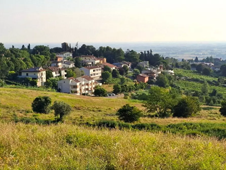 Immagine 3 di Terreno in vendita  in Via Emilio Alessandrini, 47032 Bertinoro FC, Italia a Bertinoro