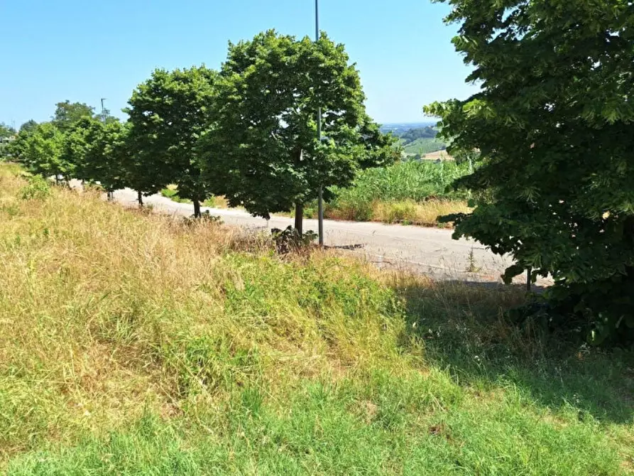 Immagine 4 di Terreno in vendita  in Via Emilio Alessandrini, 47032 Bertinoro FC, Italia a Bertinoro