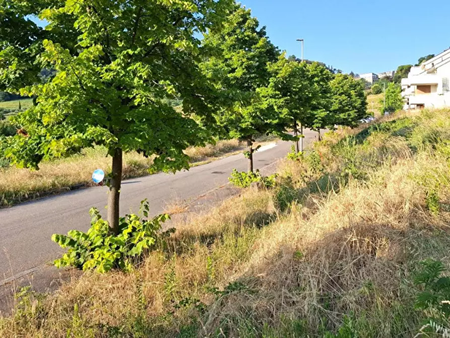 Immagine 5 di Terreno in vendita  in Via Emilio Alessandrini, 47032 Bertinoro FC, Italia a Bertinoro