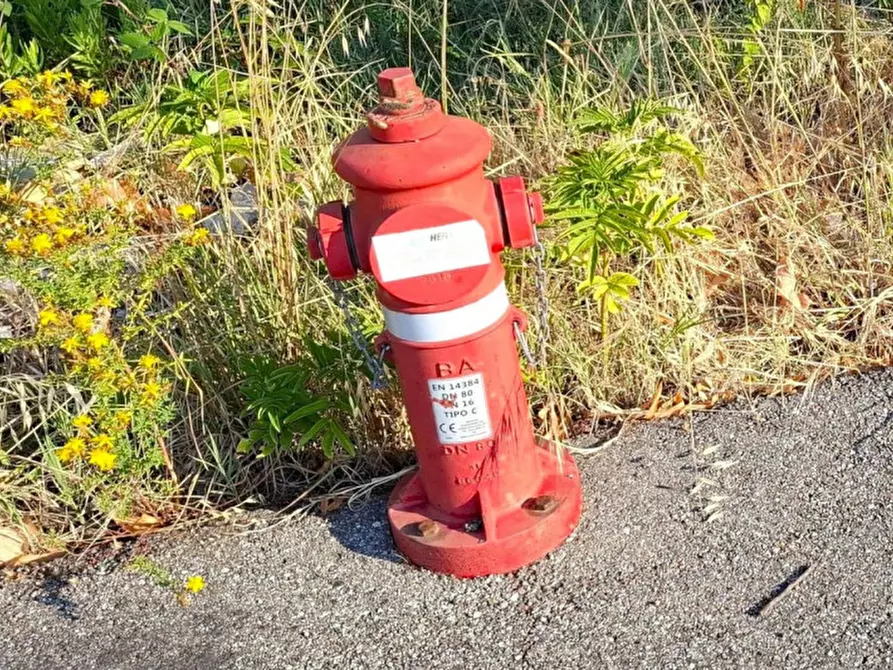 Immagine 7 di Terreno in vendita  in Via Emilio Alessandrini, 47032 Bertinoro FC, Italia a Bertinoro