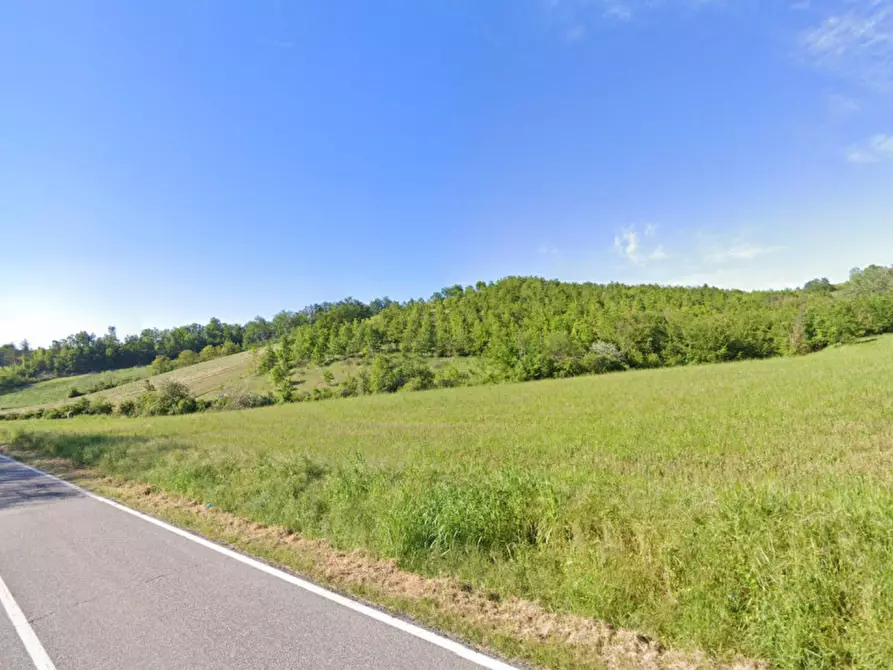 Immagine 3 di Terreno in vendita  in SP7 a Val Di Nizza