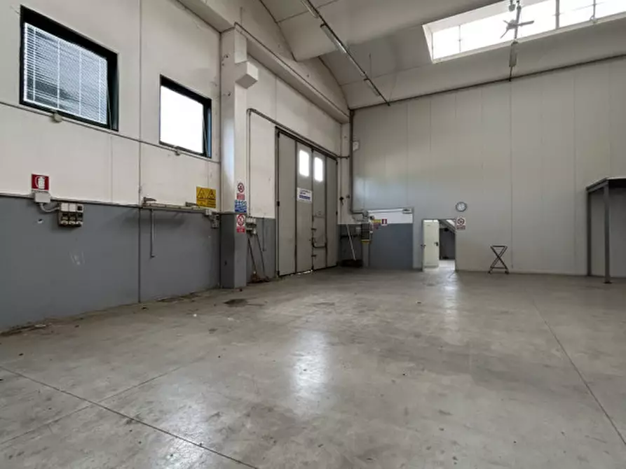 Immagine 4 di Capannone industriale in affitto  in Via Manetti a Trebaseleghe