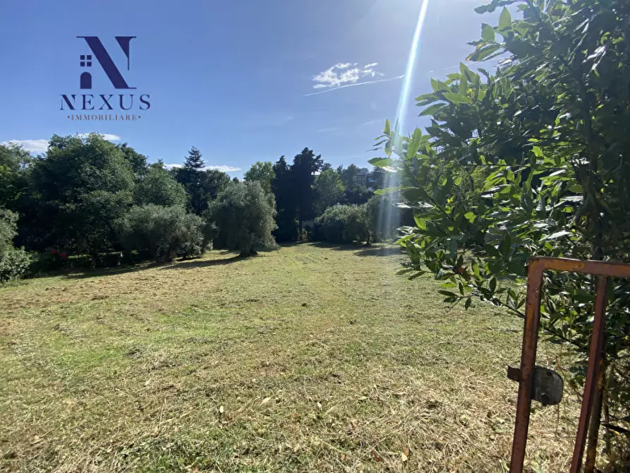 Immagine 1 di Terreno in vendita  a Mondolfo