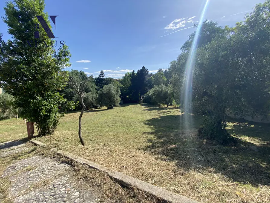 Immagine 2 di Terreno in vendita  a Mondolfo