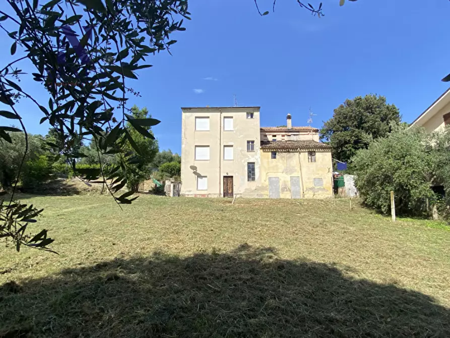 Immagine 6 di Terreno in vendita  a Mondolfo