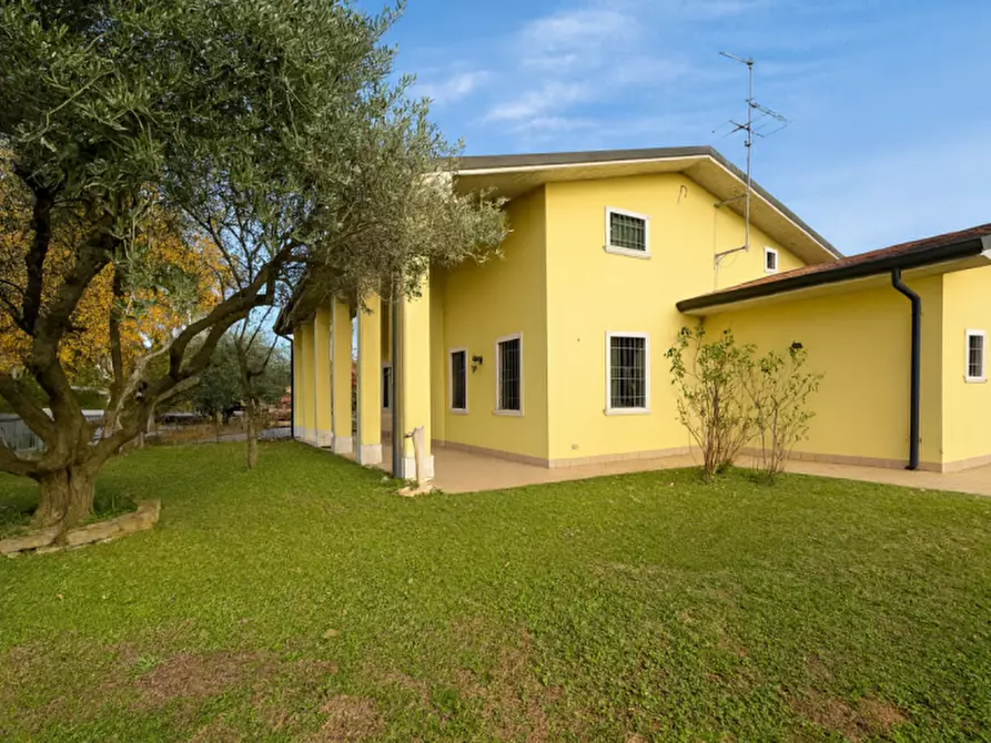 Immagine 1 di Casa indipendente in vendita  in Via Lobbia Vicentina a Lonigo