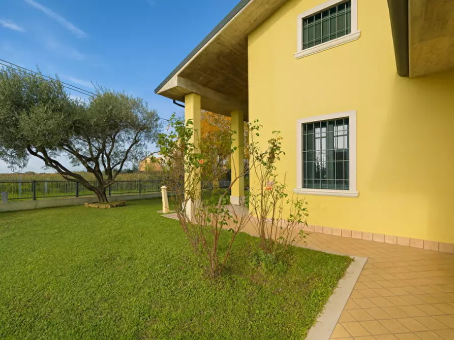 Immagine 2 di Casa indipendente in vendita  in Via Lobbia Vicentina a Lonigo