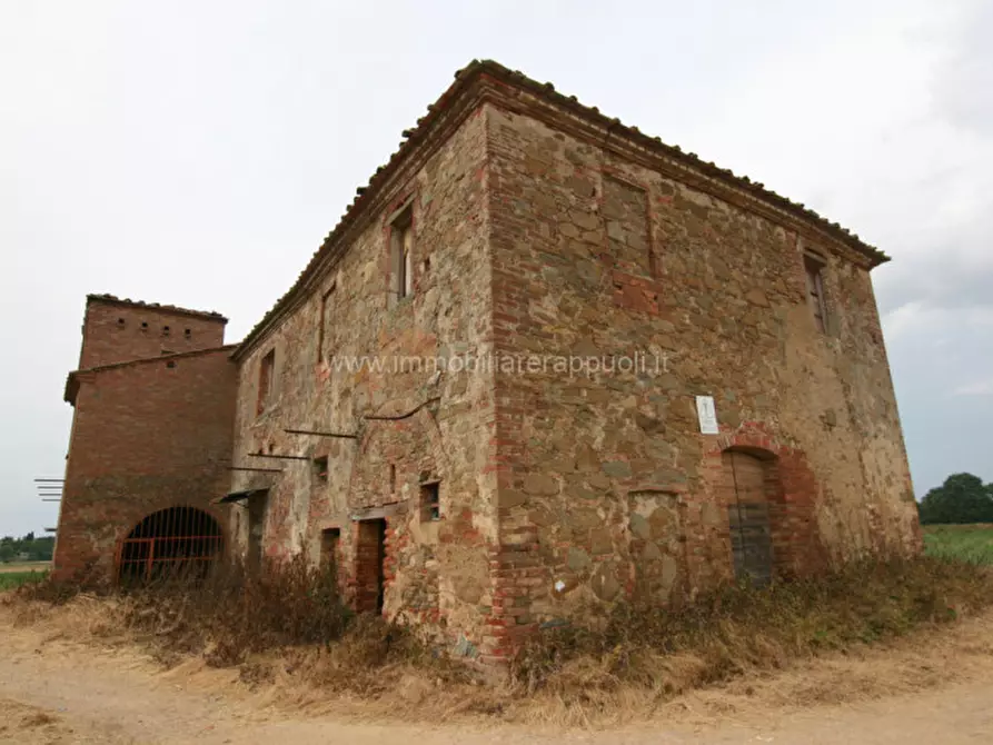 Immagine 3 di Rustico / casale in vendita  a Sinalunga