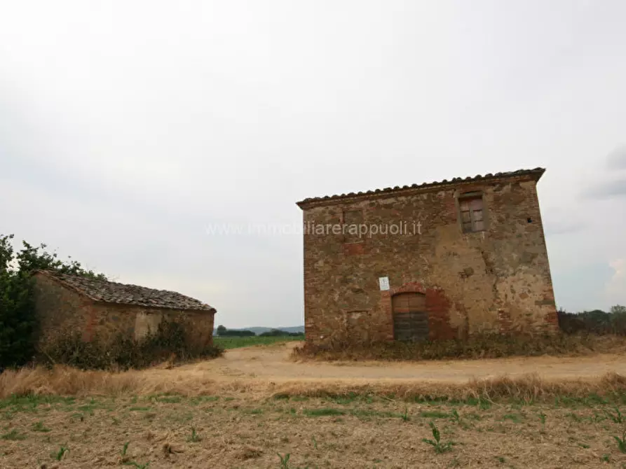 Immagine 5 di Rustico / casale in vendita  a Sinalunga