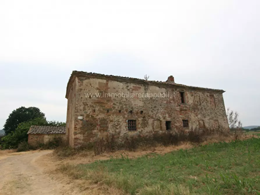 Immagine 6 di Rustico / casale in vendita  a Sinalunga