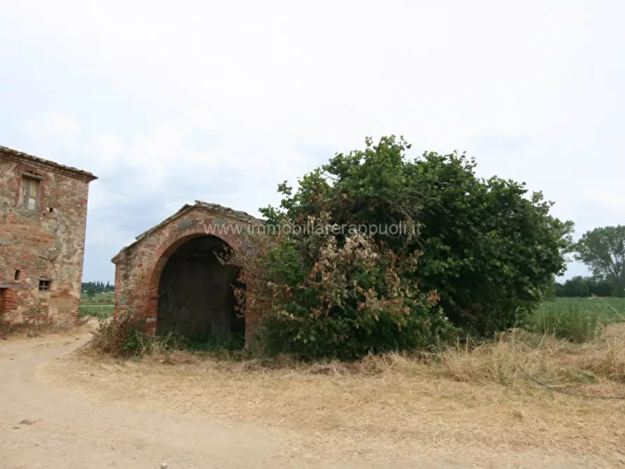 Immagine 7 di Rustico / casale in vendita  a Sinalunga