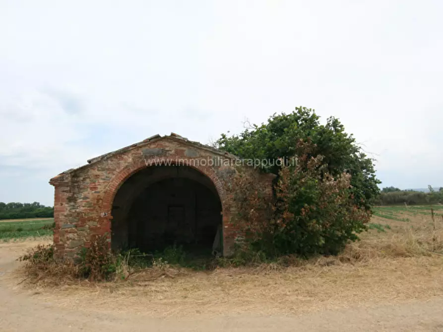 Immagine 8 di Rustico / casale in vendita  a Sinalunga