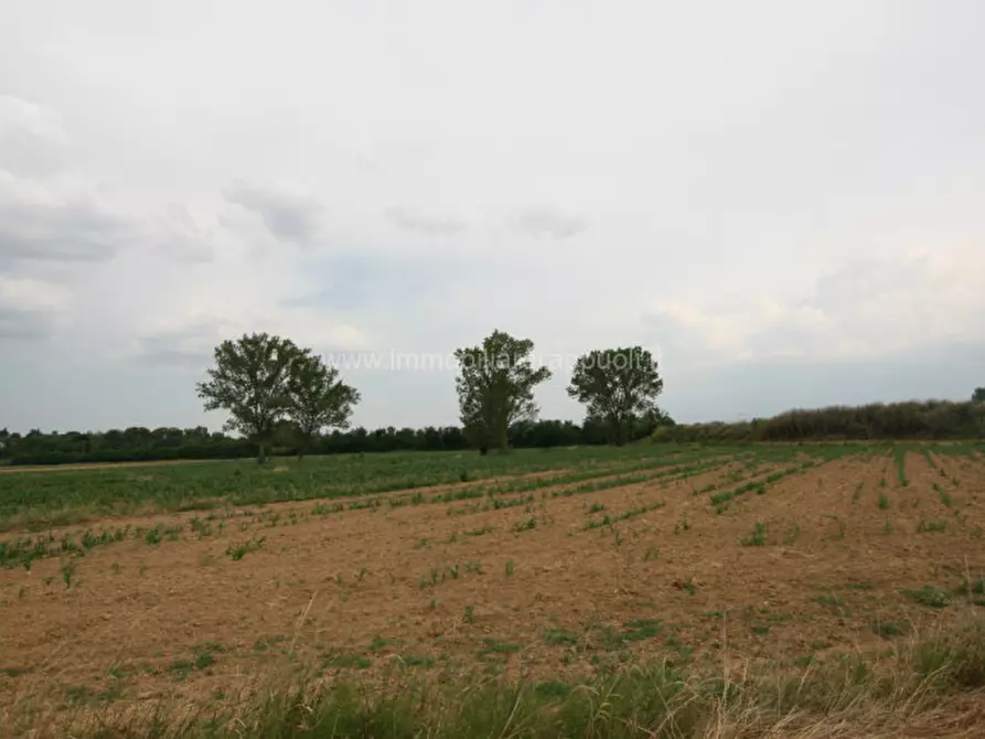 Immagine 9 di Rustico / casale in vendita  a Sinalunga