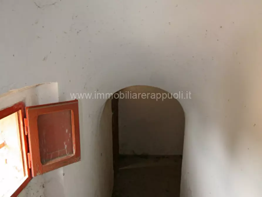 Immagine 11 di Rustico / casale in vendita  a Sinalunga