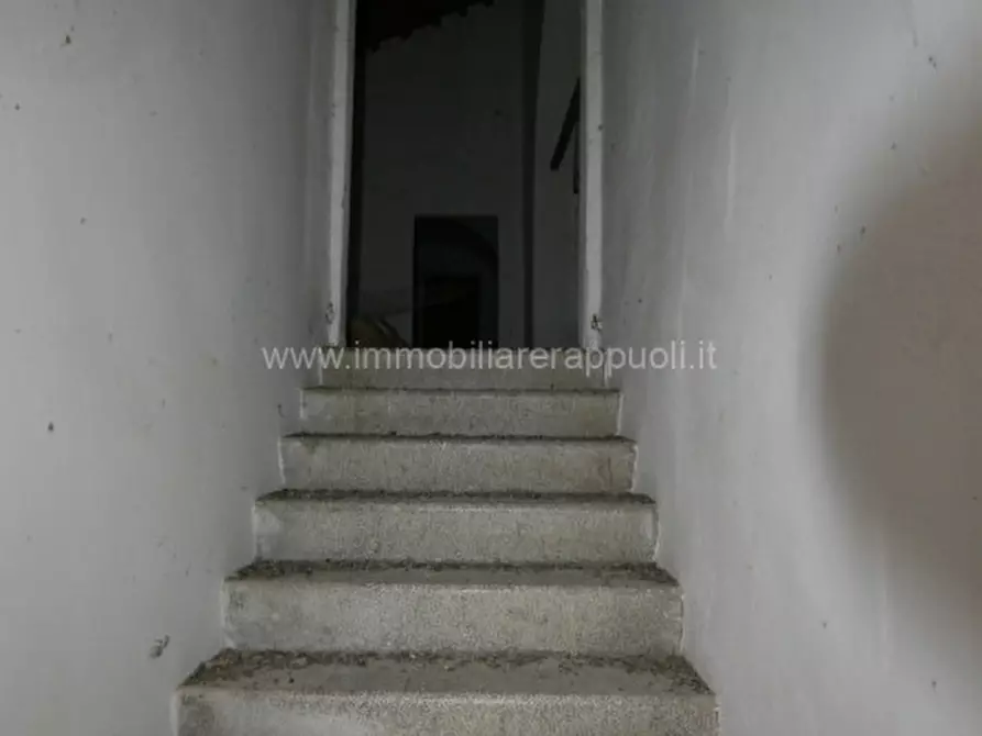 Immagine 12 di Rustico / casale in vendita  a Sinalunga