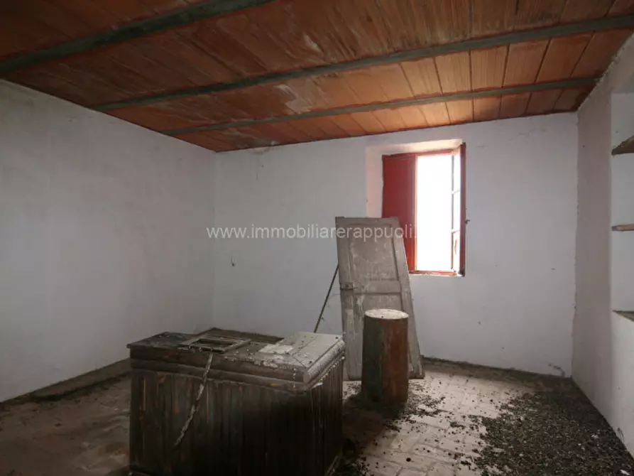 Immagine 22 di Rustico / casale in vendita  a Sinalunga