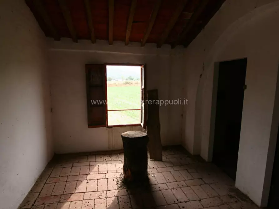 Immagine 25 di Rustico / casale in vendita  a Sinalunga