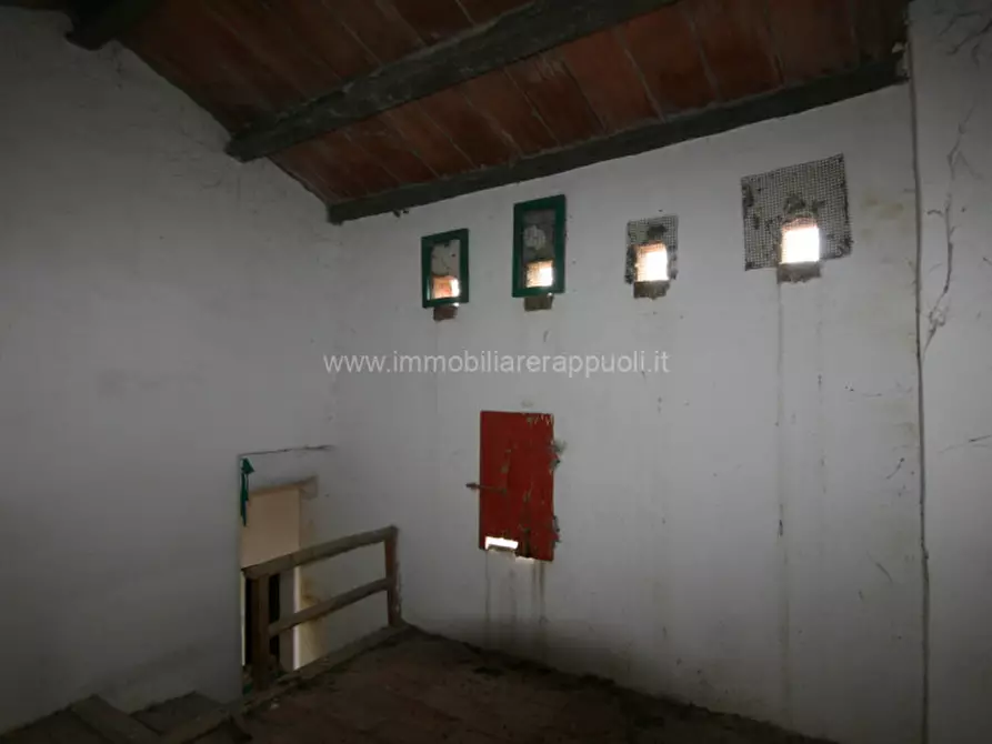 Immagine 29 di Rustico / casale in vendita  a Sinalunga