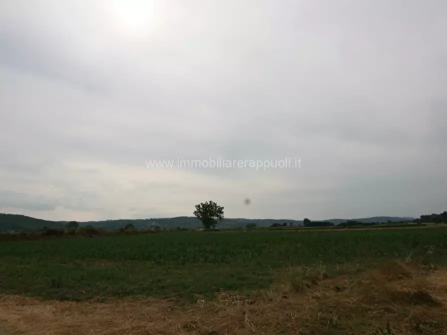 Immagine 41 di Rustico / casale in vendita  a Sinalunga