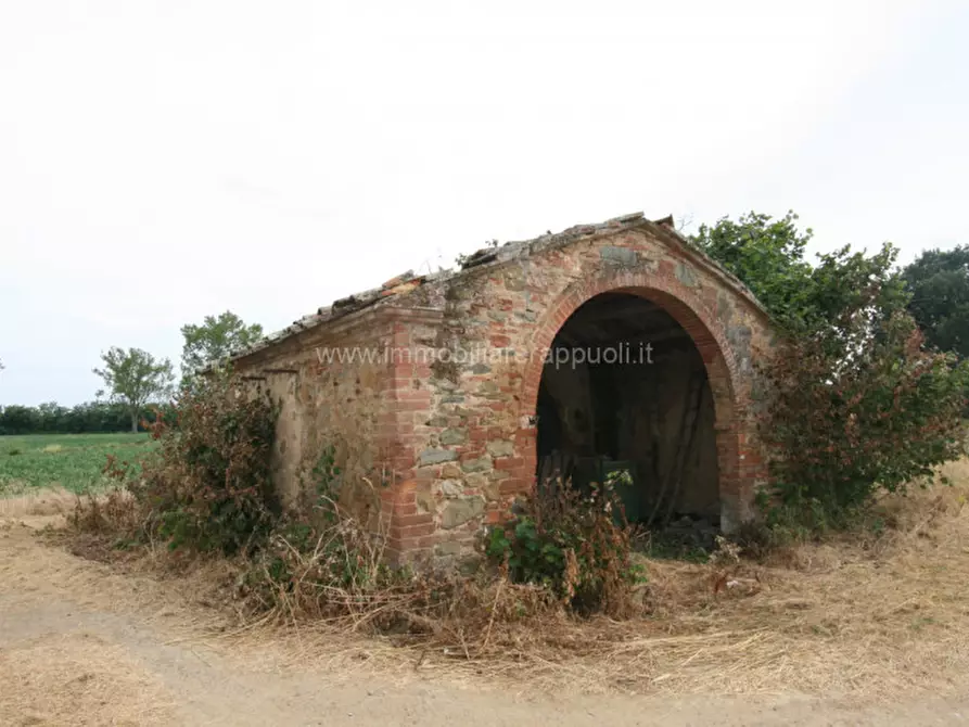 Immagine 42 di Rustico / casale in vendita  a Sinalunga