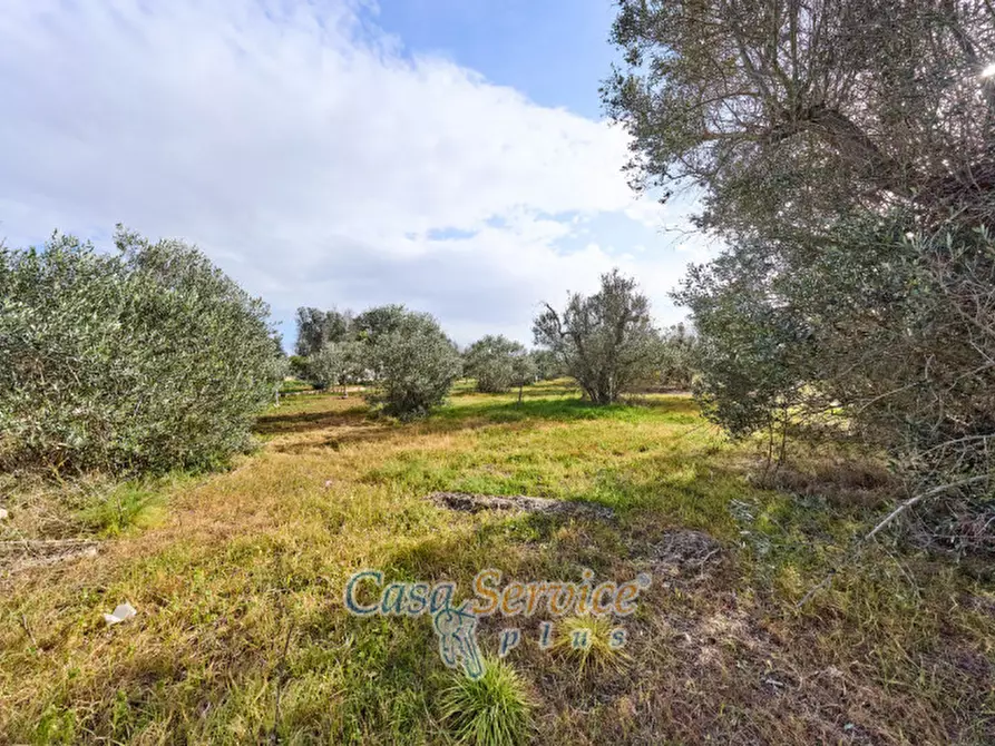 Immagine 9 di Villa in vendita  in strada provinciale sp 223 a Matino