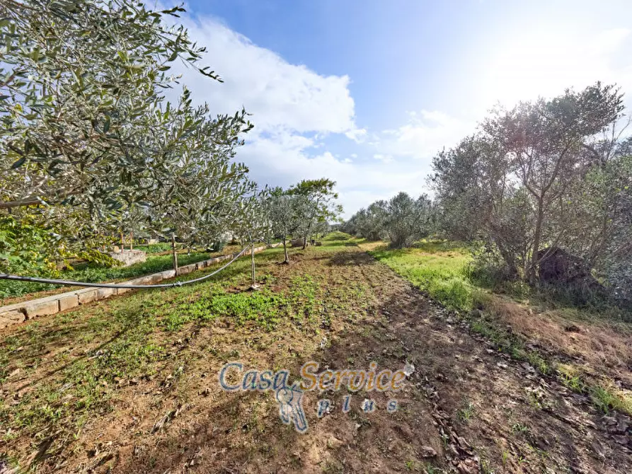 Immagine 10 di Villa in vendita  in strada provinciale sp 223 a Matino