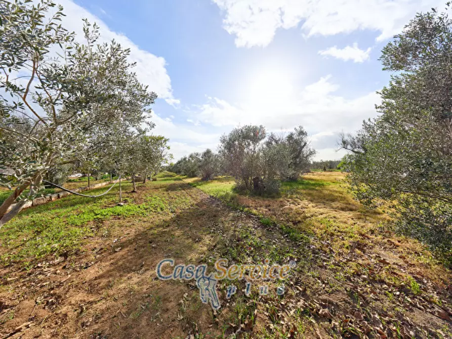 Immagine 11 di Villa in vendita  in strada provinciale sp 223 a Matino