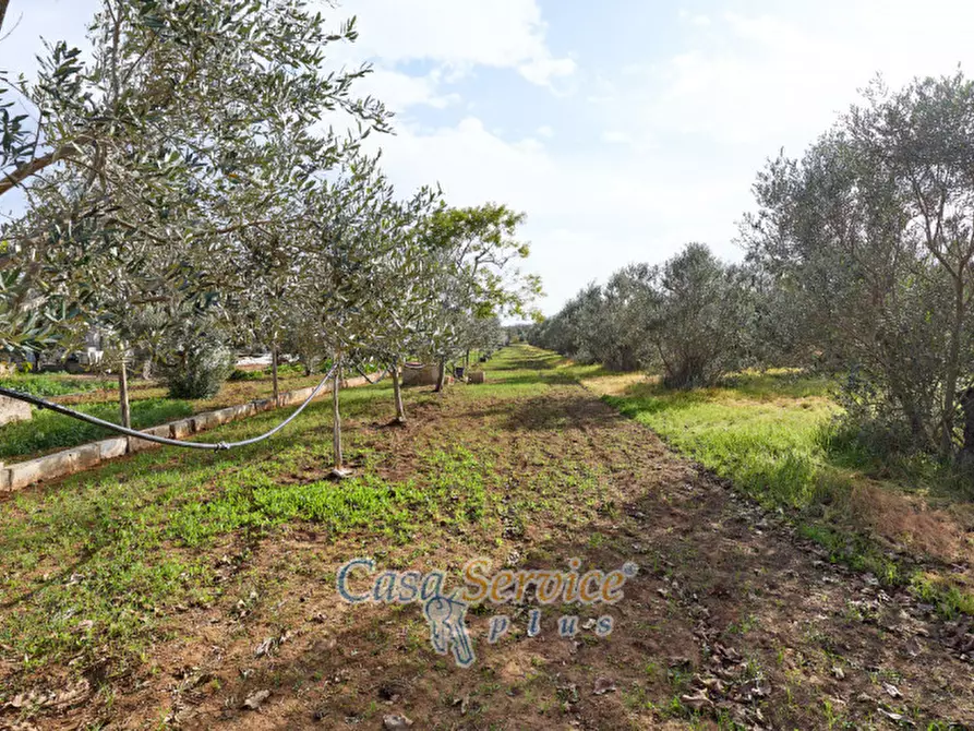 Immagine 12 di Villa in vendita  in strada provinciale sp 223 a Matino