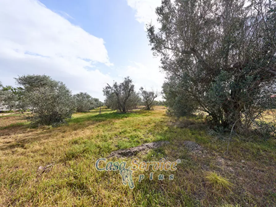 Immagine 13 di Villa in vendita  in strada provinciale sp 223 a Matino