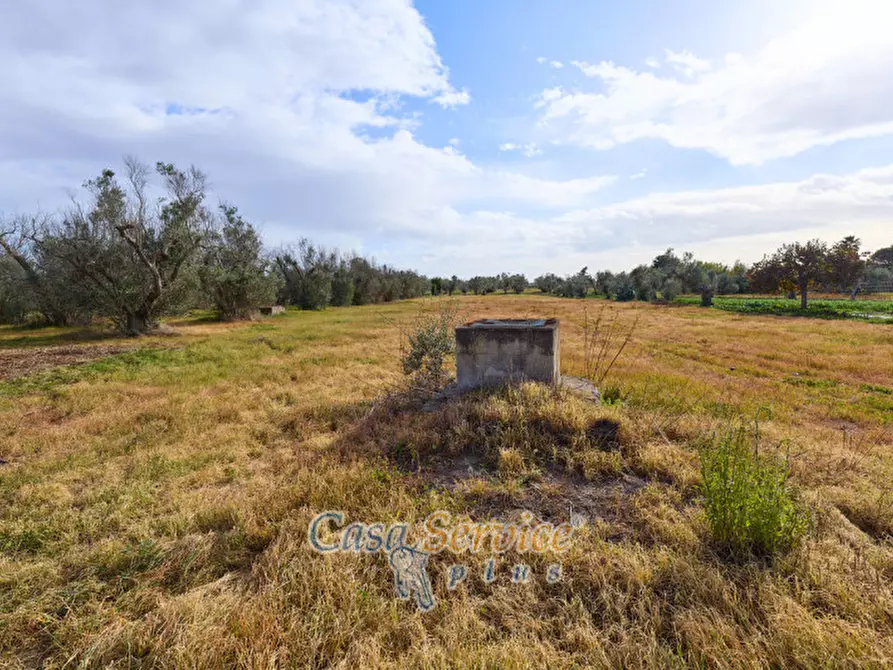 Immagine 15 di Villa in vendita  in strada provinciale sp 223 a Matino