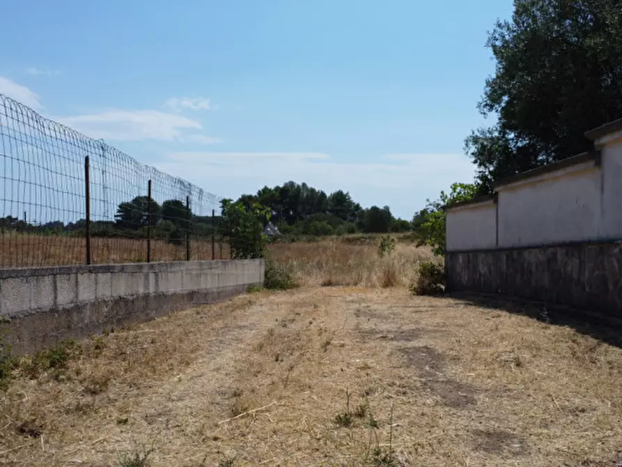 Immagine 1 di Terreno in vendita  in strada tre piantelle a Martina Franca