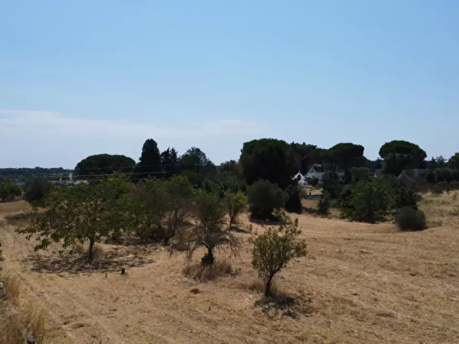 Immagine 2 di Terreno in vendita  in strada tre piantelle a Martina Franca