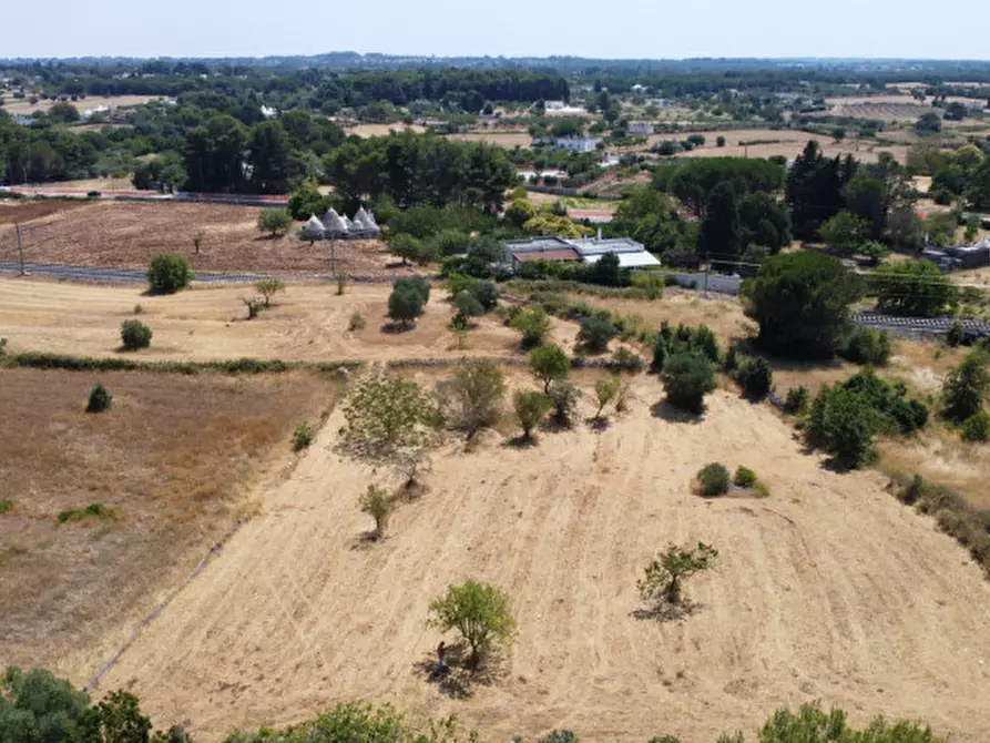 Immagine 4 di Terreno in vendita  in strada tre piantelle a Martina Franca