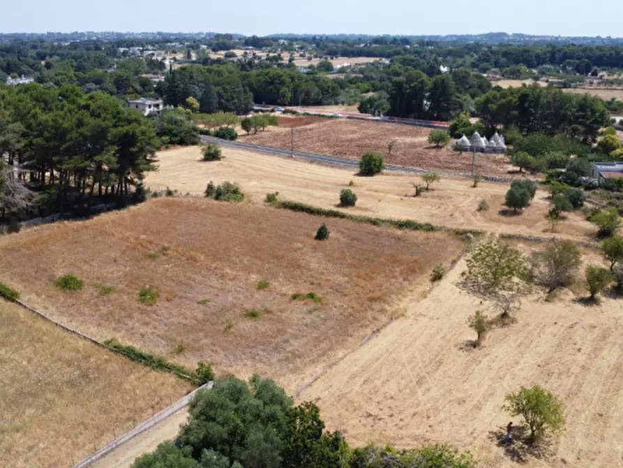 Immagine 5 di Terreno in vendita  in strada tre piantelle a Martina Franca