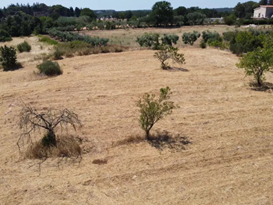 Immagine 6 di Terreno in vendita  in strada tre piantelle a Martina Franca
