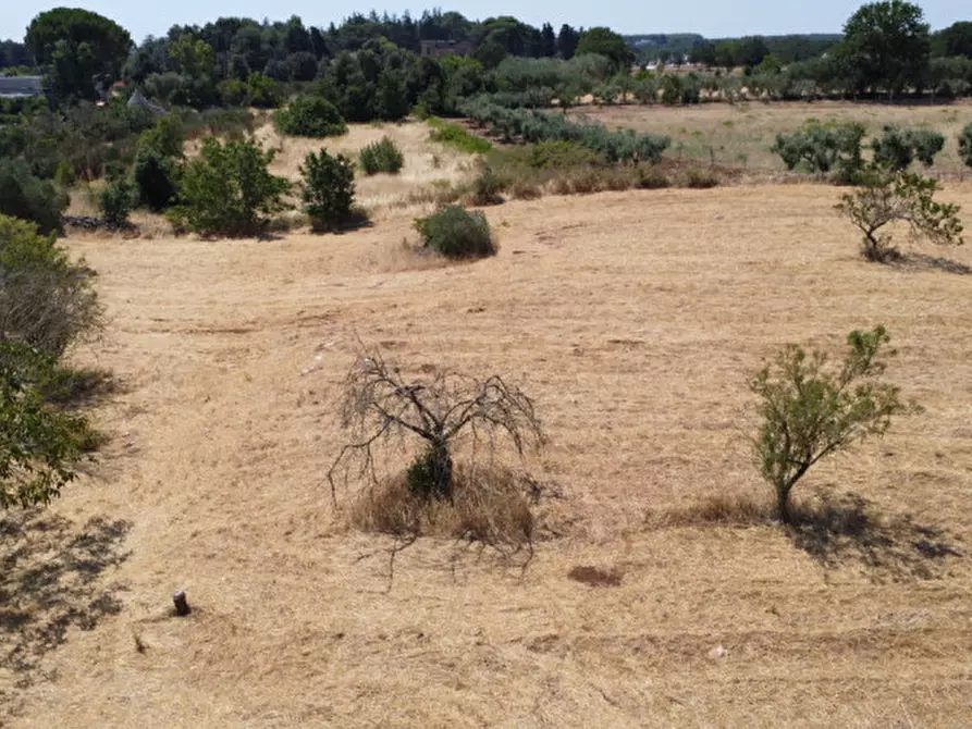 Immagine 7 di Terreno in vendita  in strada tre piantelle a Martina Franca