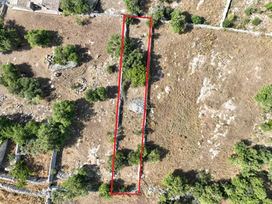 Immagine 4 di Rustico / casale in vendita  a Modica