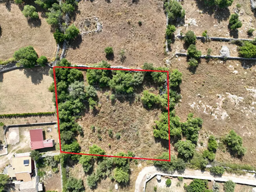 Immagine 6 di Rustico / casale in vendita  a Modica