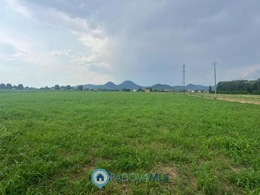 Immagine 4 di Rustico / casale in vendita  in Via Albere a Monselice