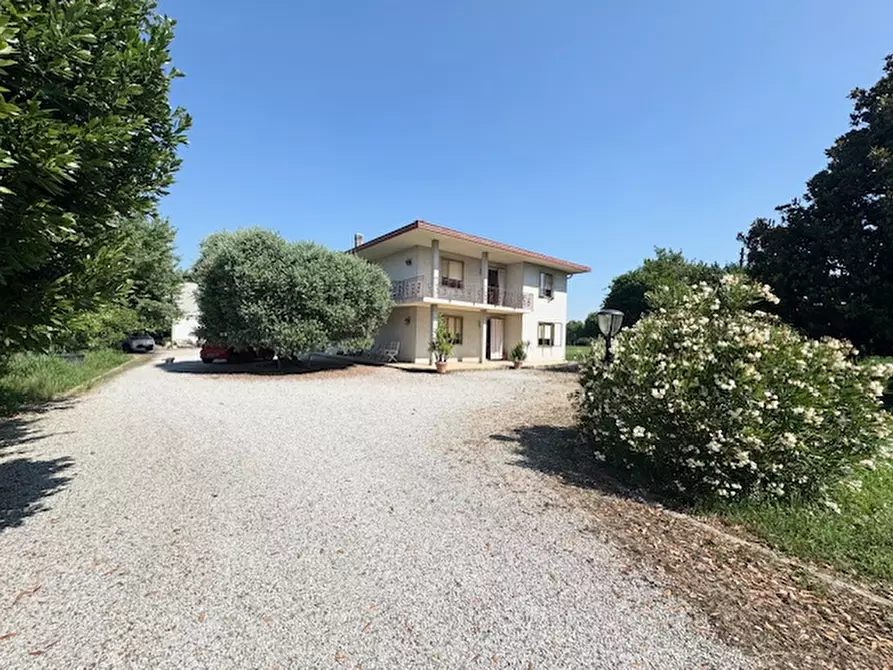 Immagine 2 di Casa indipendente in vendita  a Saccolongo