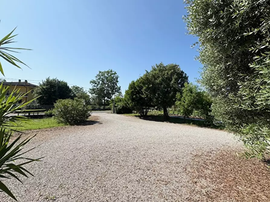 Immagine 5 di Casa indipendente in vendita  a Saccolongo