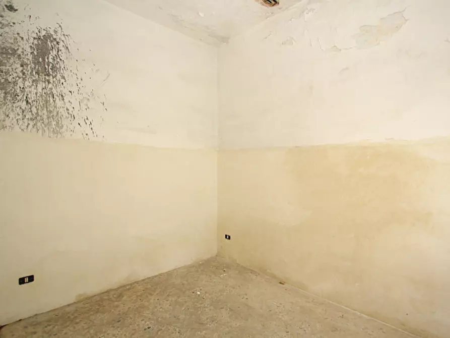 Immagine 17 di Casa indipendente in vendita  in Via Forlì a Galatina