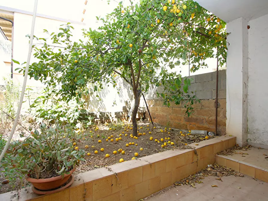 Immagine 28 di Casa indipendente in vendita  in Via Torino a Matino