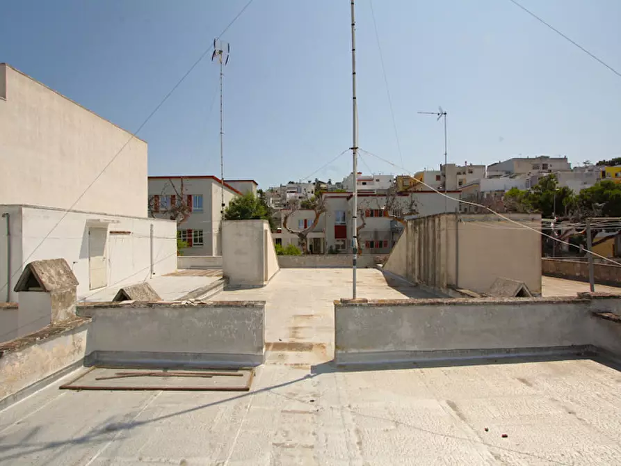 Immagine 39 di Casa indipendente in vendita  in Via Torino a Matino